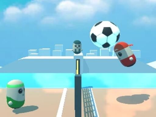 Pin Voleyballs_img